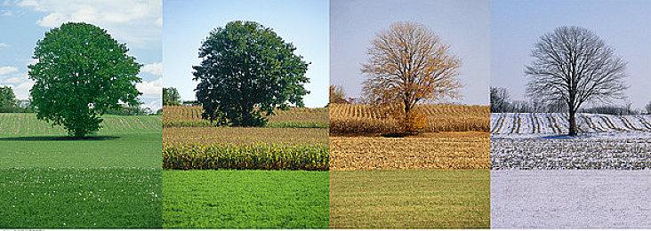 《生化危机8》沼泽地区被删减 曾有美人鱼怪物