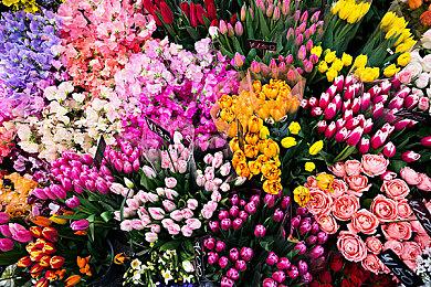 Spencer暗示Xbox大作《地狱之刃2》上市日期临近