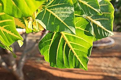 英国实体游戏周榜：《瑞奇与叮当：分离》2连冠